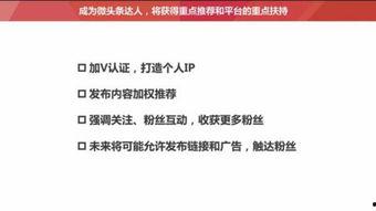 头条怎样建合集文章,轻松构建热门话题矩阵
