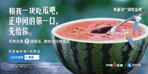 南漳qq吃瓜群,揭秘网络社交圈的趣味与争议