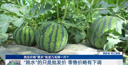 上海30人吃瓜,共度欢乐时光